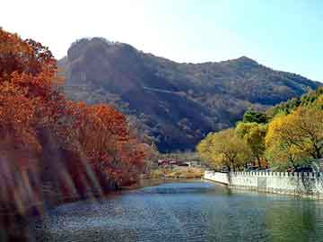 路油清，阴沉木价格